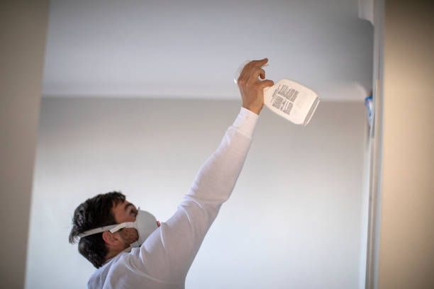 Best Mold Remediation for Specific Building Types in Thousand Palms, CA