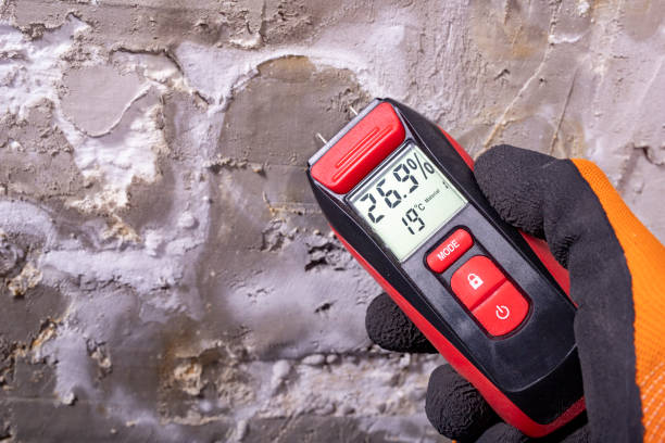 Best Basement Mold Remediation in Thousand Palms, CA