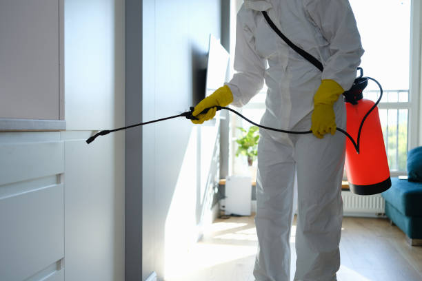 Reliable Thousand Palms, CA Mold Remediation Solutions