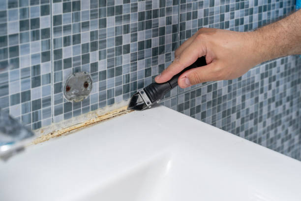 Best Bathroom Mold Remediation in Thousand Palms, CA